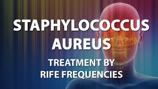 Staphylococcus Aureus  RIFE Frequencies Treatment  Energy amp Quantum Medicine with Bioresonance [upl. by Abe]