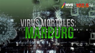 Virus mortales Marburg [upl. by Alisha]