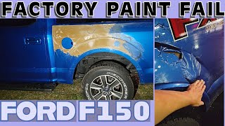 My F150 Factory Paint is Peeling Off in Huge Chunks WTF FORD 🤬 [upl. by Lipkin]