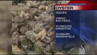 Massachusetts closes some South Shore oyster beds [upl. by Kral]