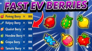 The BEST Method to Farm EV BERRIES in Pokemon Scarlet and Violet [upl. by Tedda]