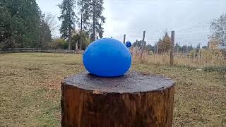 Shooting WaterFilled Balloons With A 177 AirgunSlow Motion Footage [upl. by Lathe]