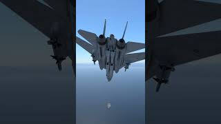 Topgun Ending Flyby remake using the NEW XPLANE12 F14 Tomcat [upl. by Maryrose925]