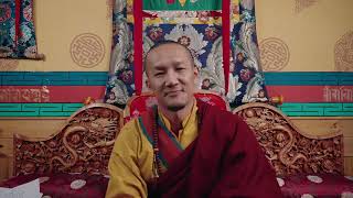 palga Rinpoche statement about LBA presidentship buddha buddhism lba ladakh viral [upl. by Catharine]