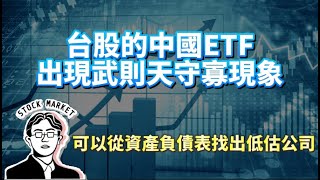 【總編日報】台股的中國ETF出現武則天守寡現象 其實可以從資產負債表找出低估公司 2024107 [upl. by Yalcrab]