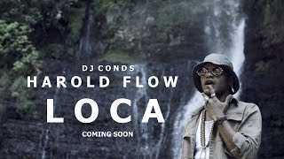 HAROLD FLOW  LOCA  TRAILER  COMING SOON [upl. by Pollyanna704]