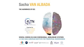 Sacha Van Albada  The Harmonics of EEG [upl. by Nnail]