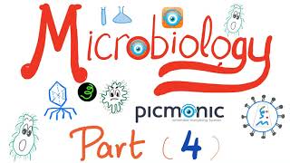 Microbiology  Viridans Streptococcus pyogenes agalactiae bovis Enterococci  Picmonic Part 4 [upl. by Epoillac300]