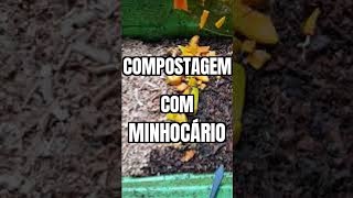 Compostagem Doméstica com Minhocário [upl. by Elttil615]