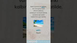 Kalbim Tatilde Ziynet Sali  Learn Turkish with Songs  40 [upl. by Aronel]