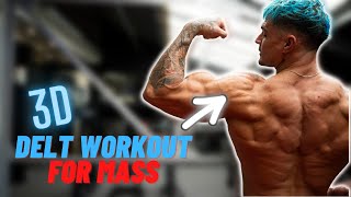 Ultimate Shoulder Mass 3D Workout [upl. by Hermina681]