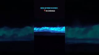 Bioluminescence in Chennai  chennai beach thiruvanmiyur shortsfeed viral chennaibeach [upl. by Proulx]