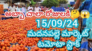 150924 Madanapalle Tomato Market price Today  Today Tomato Market Rate in Madanapalle today [upl. by Blackington172]