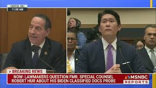 Jamie Raskin Calls Out AntiDemocracy Trump Cultists At Robert Hur Hearing [upl. by Sandry]