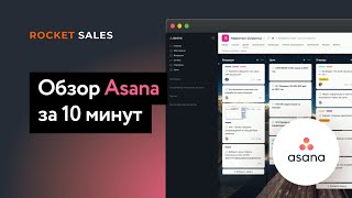 Обзор Asana за 10 минут Платформа для управления компанией [upl. by Wisnicki75]