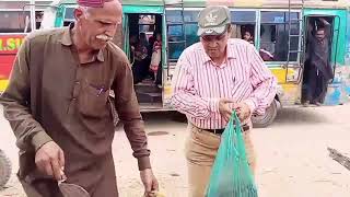 Hakim chandio plantation in jamshoro with friends [upl. by Eerpud464]