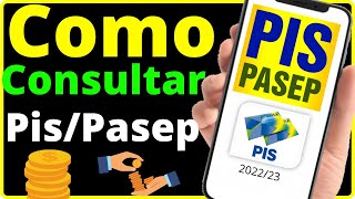 Como Saber se Tenho Direito ao Pis 202324 Consultar Pis Pasep [upl. by Brittan]