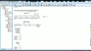 discriminant analysis using SPSS video 1 [upl. by Sahcnip]