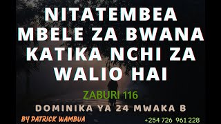 Nitatembea Mbele Za Bwana Katika Nchi Za Walio Hai By Patrick Wambua  Dominika Ya 24 Mwaka B [upl. by Plank]