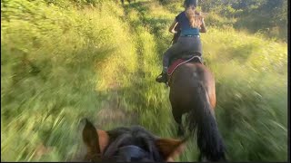 Fell off and hit a tree Horse riding Traumatic Vlog [upl. by Theo402]