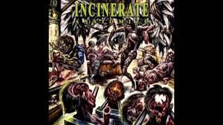 Incinerate  Anatomize FULL ALBUM 2008  Technical Brutal Death Metal [upl. by Zacherie]