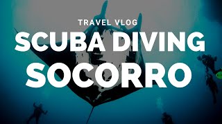 Scuba Diving The Socorro Islands via Liveaboard  Mexico Travel Vlog [upl. by Ibba221]