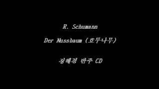 Der Nussbaum Op 25 No 3 R Schumann  Accompaniment [upl. by Colwin445]