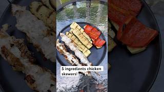 Easy 5Ingredient Greek Yogurt Chicken Skewers [upl. by Nasho]