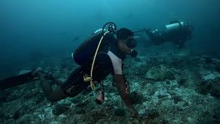 Maldives diving adventure unedited footage [upl. by Nnayelhsa]