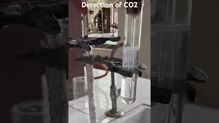 Practical Guru Monu Sharma  Detection of CO2 [upl. by Danete62]