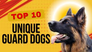 🐕 Top 10 Dog Breeds with Unique Guarding Instincts 💪🔥  Beyond German Shepherds 🚨 [upl. by Nerag115]