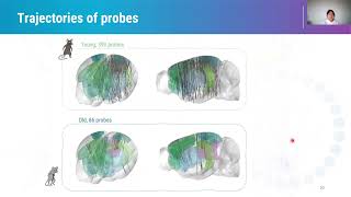 2024 344 The IBL brainwide map effect of age Zang [upl. by Elizabeth]