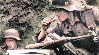 WW2 Waffen SS Intense Combat Footage [upl. by Lokcin]