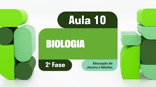 Biologia  Aula 10  Animais Invertebrados [upl. by Yoshi]