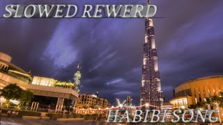 HABIBI  SLOWED REWERD SONG [upl. by Annagroeg421]