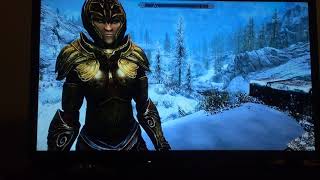 Skyrim Builds The Thalmor Soldier  Thalmor Build [upl. by Saval]