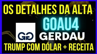 GOAU4  GERDAU TRUMP Mais FAVORITO FORTALECEM OPERAÇÃO e DÓLAR dividendos goau4 bolsadevalores [upl. by Melliw991]