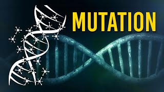 What is Mutation and Classification of Mutation [upl. by Aser]