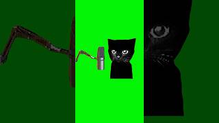 Cat Podcast  Green Screen cat cats meme podcast catmeme yap fyp [upl. by Trixi729]