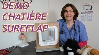 Démonstration de la chatière électronique SureFlap [upl. by Elyac475]