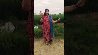 gulabi sararas dance like [upl. by Hull826]