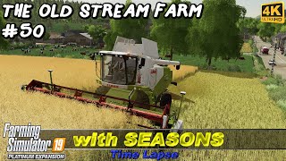 Harvesting canola amp wheat sowing oilseed radish  The Old Stream Farm 50  FS19 TimeLapse  4K [upl. by Naloj391]