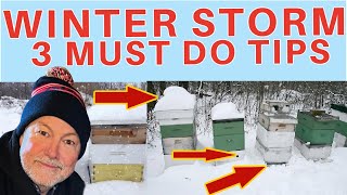 Beekeeping TIPS  Prepare Your Bees For A Winter Storm [upl. by Rebak]