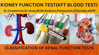 KFTRFT BLOOD REPORTKIDNEY FUNCTION TEST USES INDICATIONKFT REPORT HOW TO READ EASILY [upl. by Elehcim]