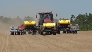 CASEIH MAGNUM305 PLANTING PEANUTS WITH A MONOSEM PLANTER BRIDGES FARMS 2022 PEANUT PLANTING [upl. by Etnaud]