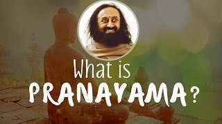 What is Prana and Pranayama  Gurudev Sri Sri Ravi Shankar [upl. by Natiha]