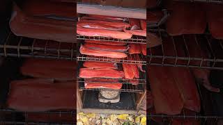 Smoking last years Salmon  PART 1 alaska smokedfish salmon canning shorts [upl. by Murtha]