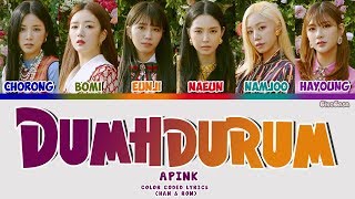 APINK  DUMHDURUM ëŤ¤ëŤ”ëźĽ Lyrics Color Coded Han ampRom [upl. by Phil]