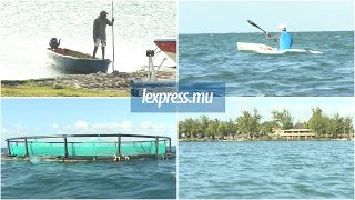 Les cages d’aquaculture attirent les requins selon les habitants [upl. by Cartwright805]