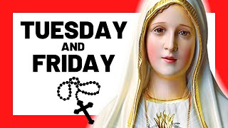 THE SORROWFUL MYSTERIES TODAY HOLY ROSARY TUESDAY amp FRIDAY  THE HOLY ROSARY TUESDAY amp FRIDAY [upl. by Wash]